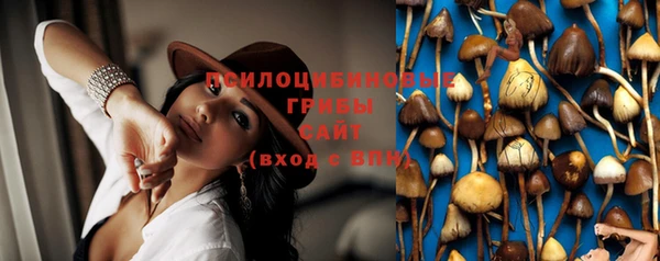 прущая мука Горнозаводск