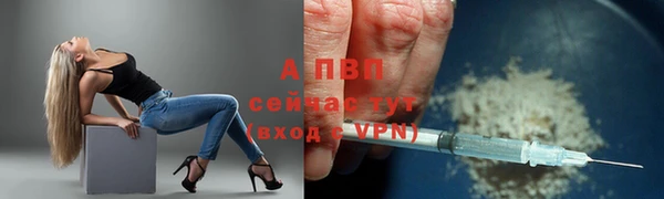 прущие крисы Горно-Алтайск